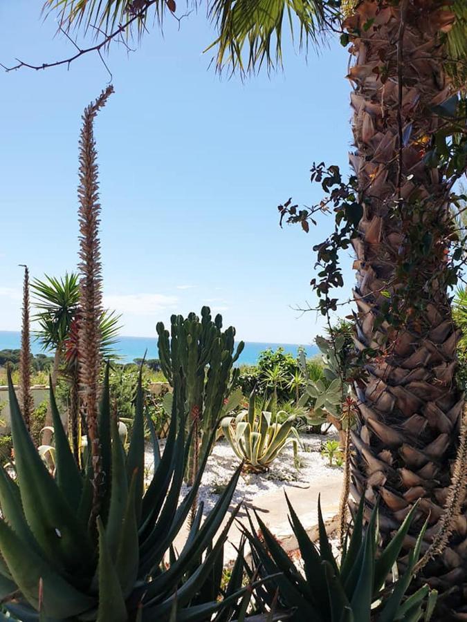 Il Canneto Di Selinunte Marinella di Selinunte Exterior foto