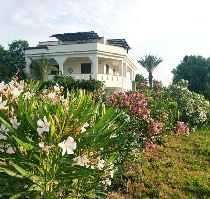 Il Canneto Di Selinunte Marinella di Selinunte Exterior foto